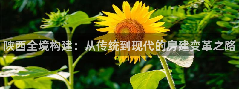 富联娱乐主管月原判官333OO：陕西全境构建：从传统到现代的房建变革之路