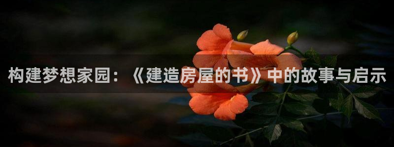 富联娱乐开户流程图：构建梦想家园：《建造房屋的书》中的故事与启示