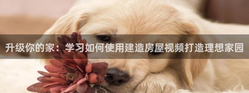 富联娱乐代理是谁的