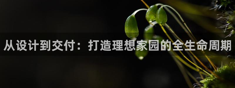 富联娱乐乙67OO6：从设计到交付：打造理想家园的全生命周期