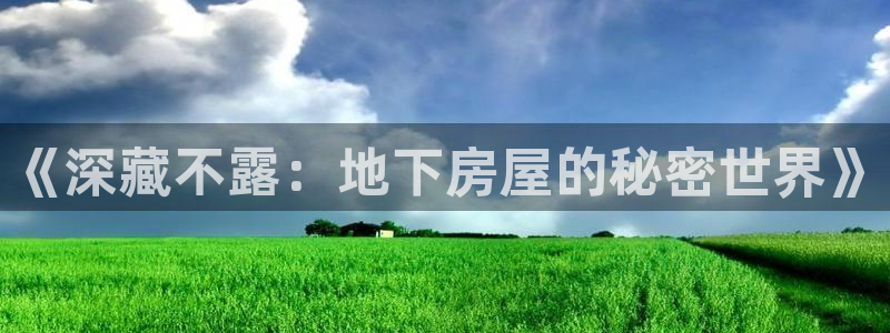 富联娱乐招商天333OO判官：《深藏不露：地下房屋的秘密世界》