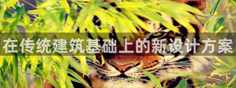 富联娱乐招商形判官333OO