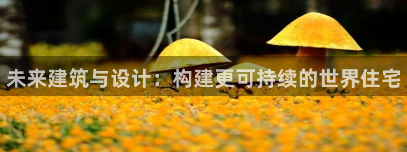 富联娱乐是什么公司：未来建筑与设计：构建更可持续的世界住宅