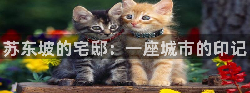 富联娱乐在线网站首页：苏东坡的宅邸：一座城市的印记