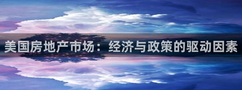 富联娱乐app官方下载：美国房地产市场：经济与政策的驱动因素