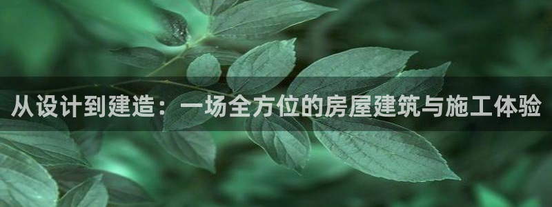富联娱乐发展历程：从设计到建造：一场全方位的房屋建筑与施工体验