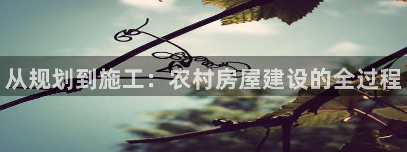 富联娱乐主管是什么职位：从规划到施工：农村房屋建设的全过程