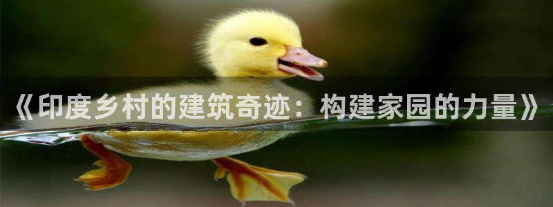富联娱乐逐333OO：《印度乡村的建筑奇迹：构建家园的力量》