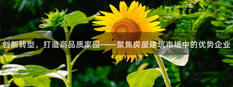 富联娱乐在线：创新转型，打造高品质家园——聚焦房屋建筑市场中的优势企业