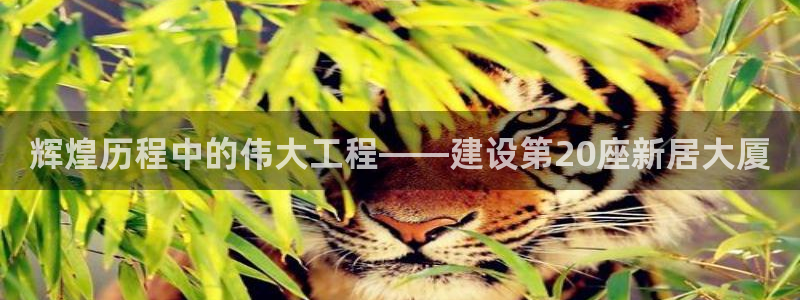富联娱乐首页登录不了了：辉煌历程中的伟大工程——建设第20座新居大厦