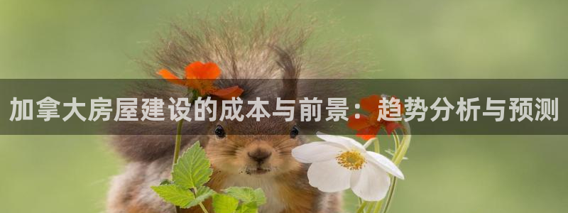富联娱乐登录测速怎么弄：加拿大房屋建设的成本与前景：趋势分析与预测