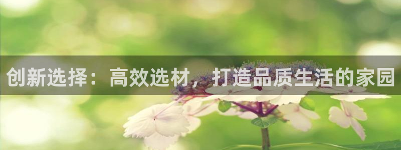 联富娱乐有限公司：创新选择：高效选材，打造品质生活的家园