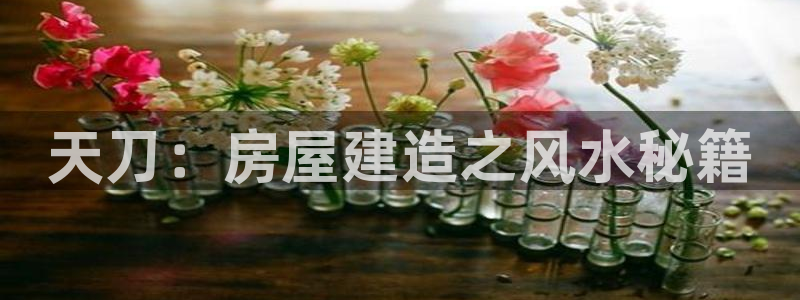 富联娱乐开户费用多少：天刀：房屋建造之风水秘籍