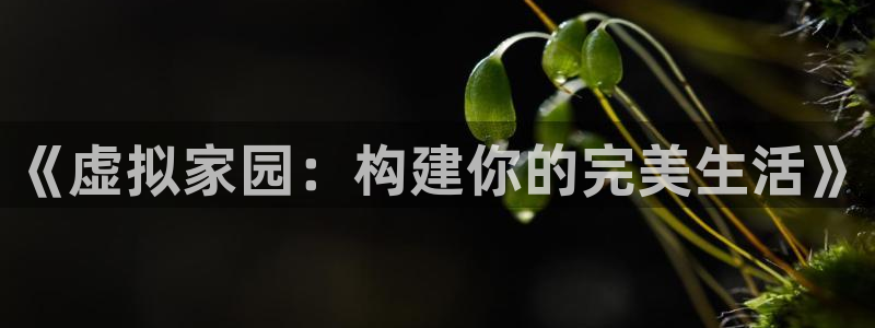 富联娱乐67零零六：《虚拟家园：构建你的完美生活》