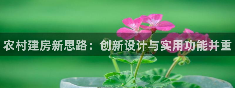 富联娱乐注册教判官333OO：农村建房新思路：创新设计与实用功能并重