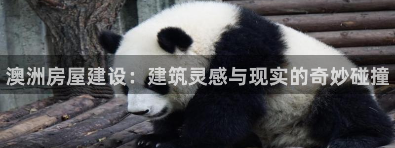 富联娱乐首页登录不上：澳洲房屋建设：建筑灵感与现实的奇妙碰撞