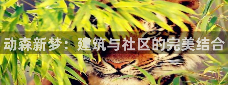 富联娱乐开户条件是什么：动森新梦：建筑与社区的完美结合