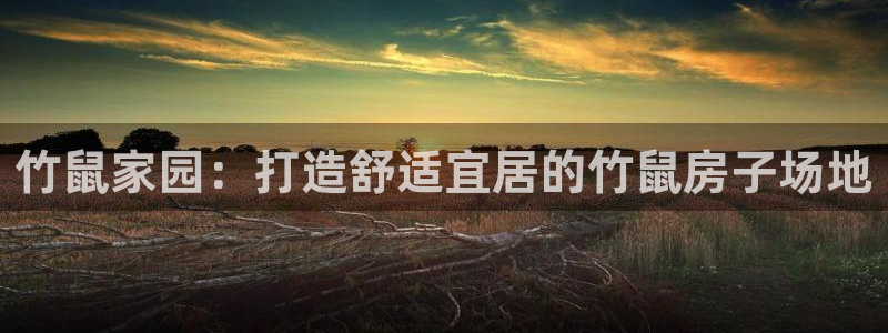 富联娱乐逐风67O77：竹鼠家园：打造舒适宜居的竹鼠房子场地