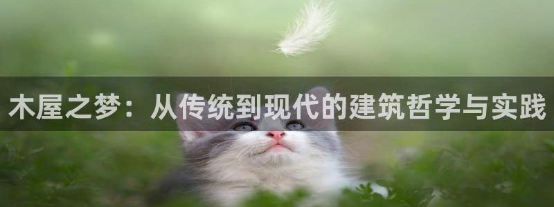 富联娱乐在线网站登录：木屋之梦：从传统到现代的建筑哲学与实践