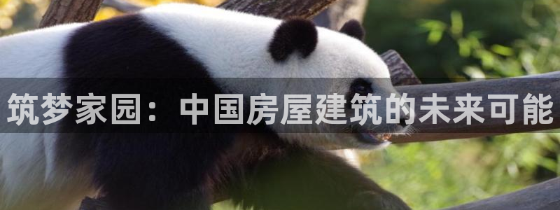 富联娱乐主管是谁呀图片：筑梦家园：中国房屋建筑的未来可能