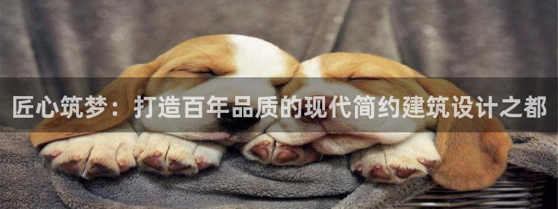 富联娱乐主管经判官333OO：匠心筑梦：打造百年品质的现代简约建筑设计之都