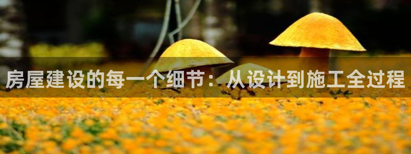 富联娱乐主管就判官333OO：房屋建设的每一个细节：从设计到施工全过程
