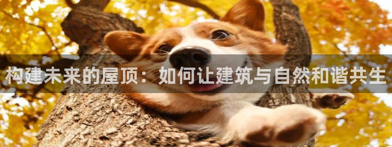 富联2娱乐是正规平台吗：构建未来的屋顶：如何让建筑与自然和谐共生