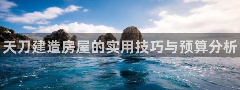 富联娱乐测速怎么样：天刀建造房屋的实用技巧与预算分析