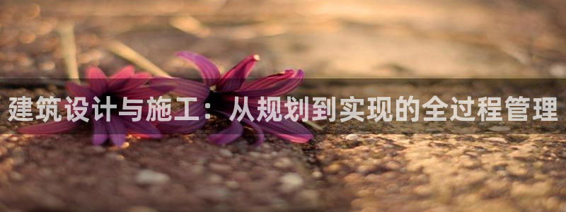 富联娱乐开户：建筑设计与施工：从规划到实现的全过程管理