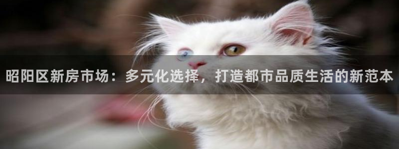 富联娱乐招商主管是谁呀：昭阳区新房市场：多元化选择，打造都市品质生活的新范本
