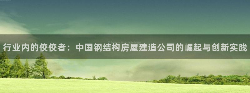 富联娱乐平台下载:行业内的佼佼者:中国钢结构房屋建造公司的崛起与创新实践