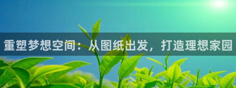 富联娱乐在线网站登录：重塑梦想空间：从图纸出发，打造理想家园