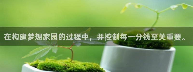 富联2娱乐平台注册不了:在构建梦想家园的过程中,并控制每一分钱至关重要。