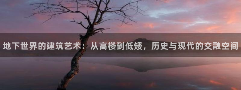 富联娱乐在线网站：地下世界的建筑艺术：从高楼到低矮，历史与现代的交融空间