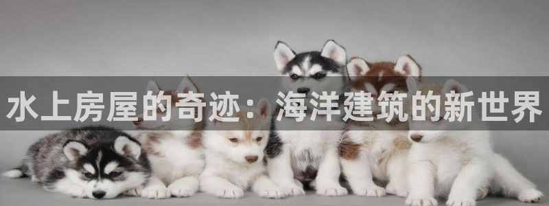 富联娱乐登录网址是什么：水上房屋的奇迹：海洋建筑的新世界