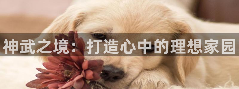 富联娱乐招商：神武之境：打造心中的理想家园