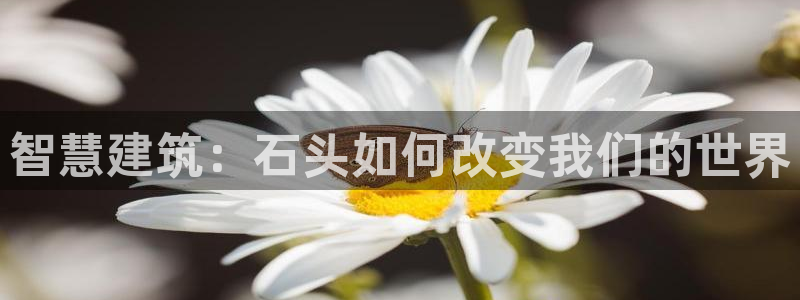 佰富联娱乐团购是正品吗：智慧建筑：石头如何改变我们的世界