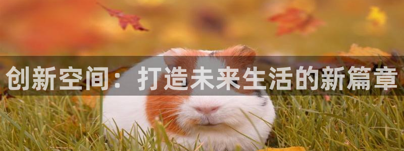 富联娱乐在线注册链接是什么意思：创新空间：打造未来生活的新篇章