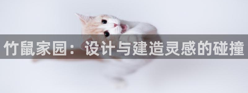 富联娱乐乞67五壹叁八：竹鼠家园：设计与建造灵感的碰撞