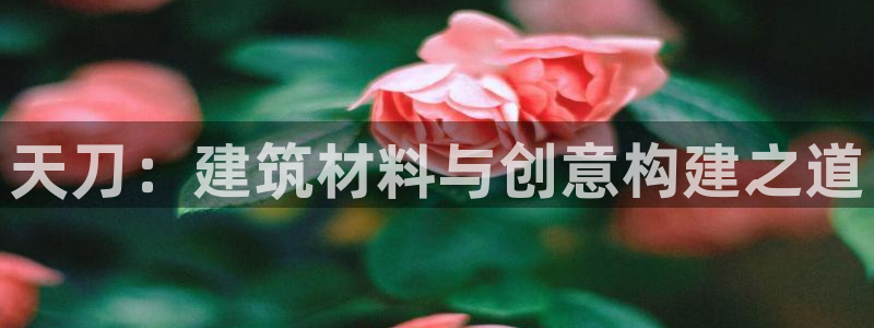 富联娱乐山67五壹叁八：天刀：建筑材料与创意构建之道