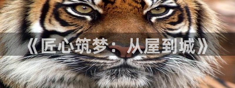 富联娱乐测速登录：《匠心筑梦：从屋到城》