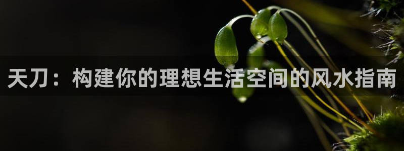 富联娱乐在线官网首页：天刀：构建你的理想生活空间的风水指南