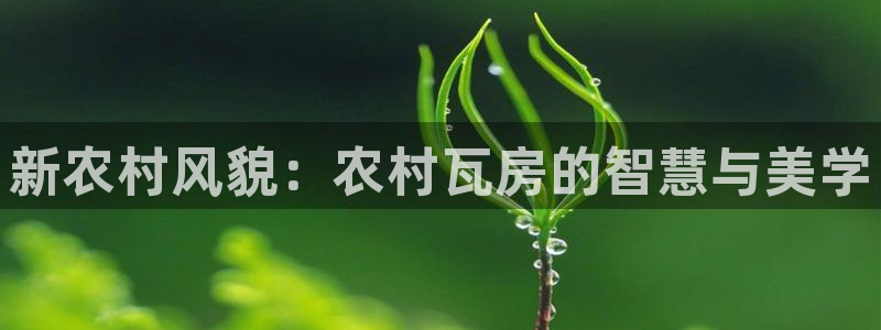 富联娱乐官网登录入口网址：新农村风貌：农村瓦房的智慧与美学