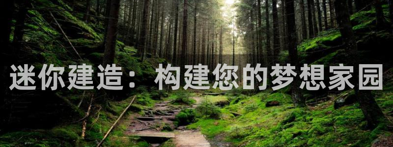 富联娱乐开户流程视频：迷你建造：构建您的梦想家园