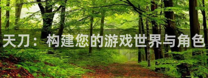 富联娱乐app官方下载最新版：天刀：构建您的游戏世界与角色