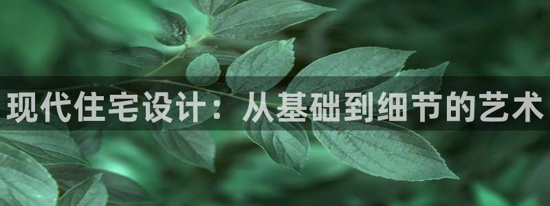 富联娱乐在线网站：现代住宅设计：从基础到细节的艺术