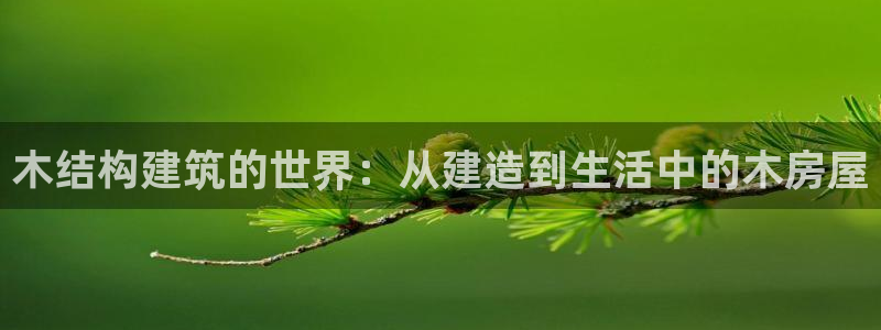 富联娱乐代理电话：木结构建筑的世界：从建造到生活中的木房屋