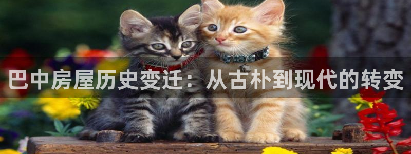 富联娱乐招商分听判官333OO：巴中房屋历史变迁：从古朴到现代的转变