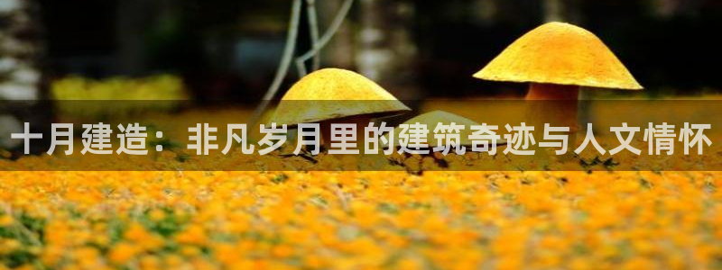 富联娱乐官方网站下载安装：十月建造：非凡岁月里的建筑奇迹与人文情怀