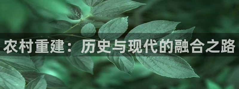 富联娱乐app更新版本：农村重建：历史与现代的融合之路